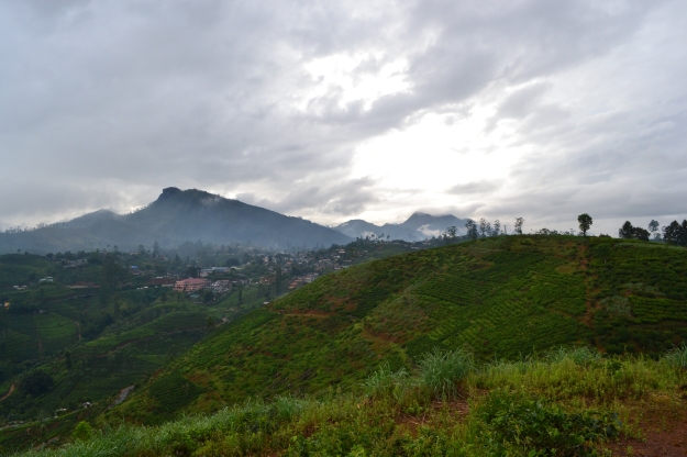 Mountains and tea estates; two of the defining features of Up-Country Sri Lanka
